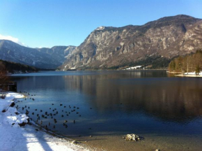 Rooms Bohinjčan